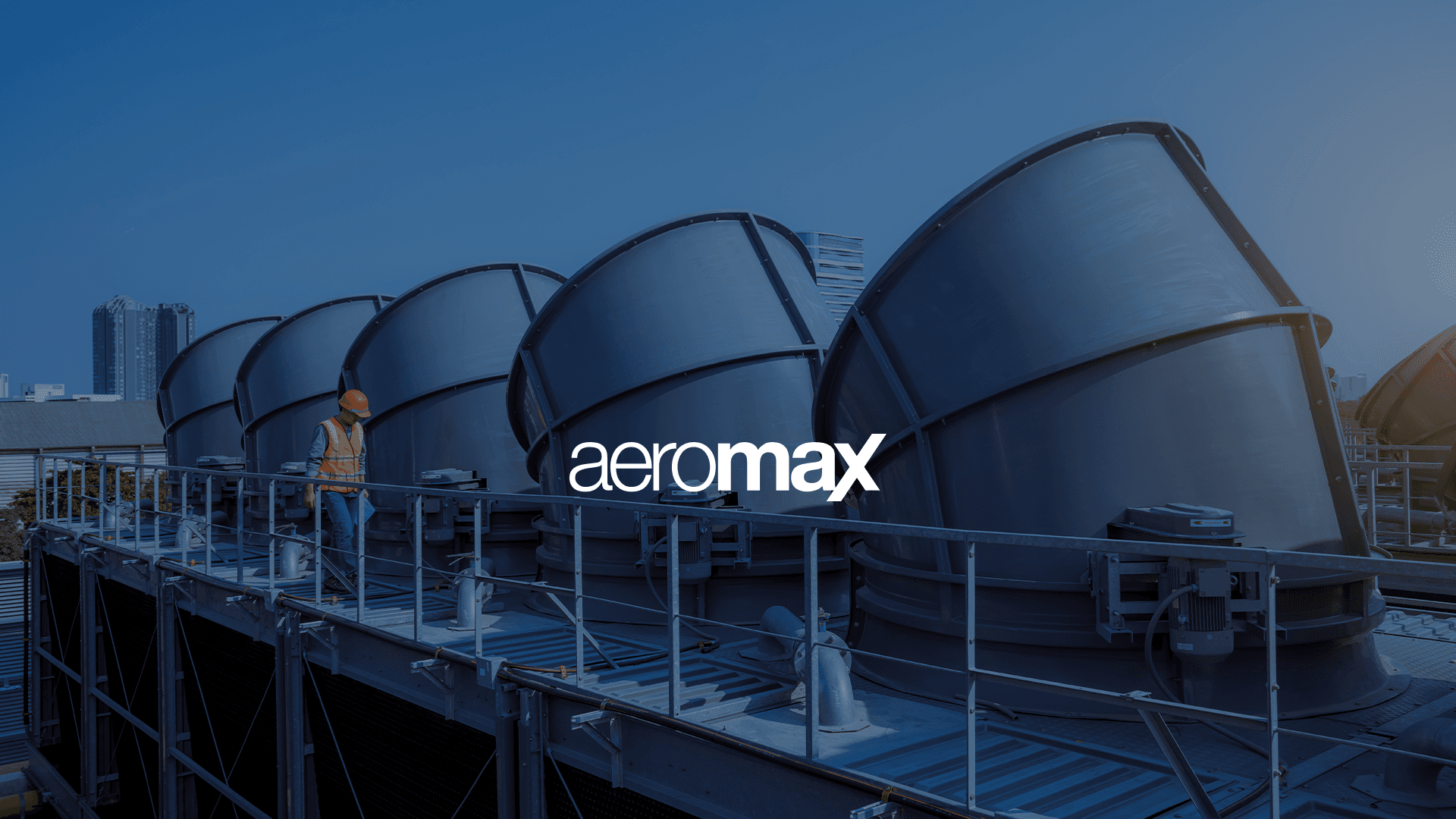 Aeromax — Brand Identity work sample 4