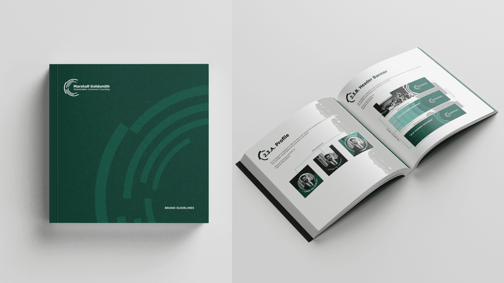 MGSCC — Branding, Social and Website Design & Development work sample 5