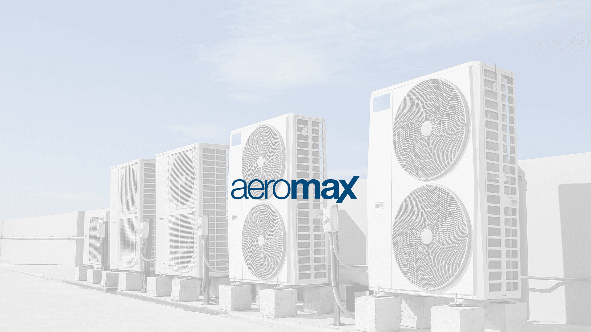 Aeromax — Brand Identity work sample 5
